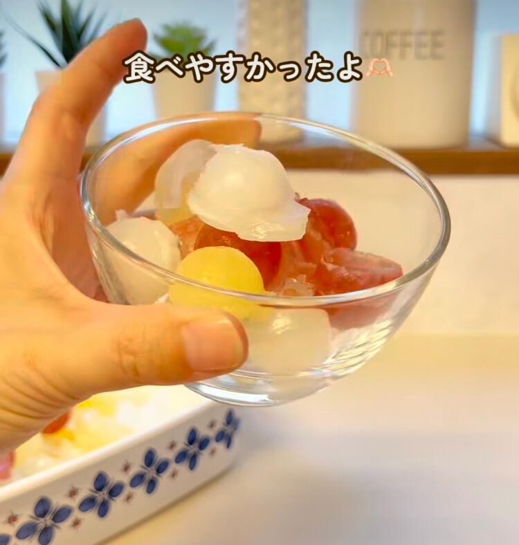 手作りシャーベット