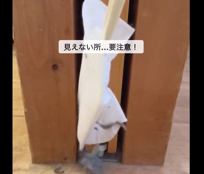 【ダイソー】150万人が見た！隙間らくらくハンディワイパー