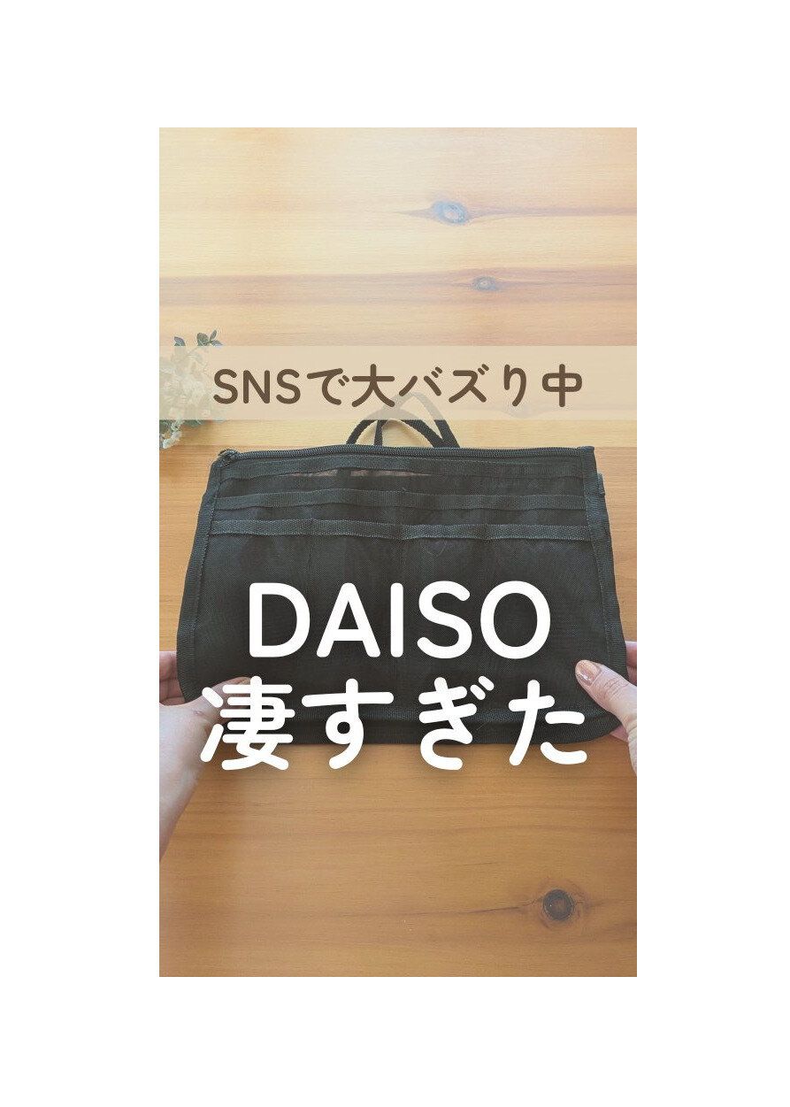 【ダイソー】SNSでバズりまくってる！話題のバッグインバッグ