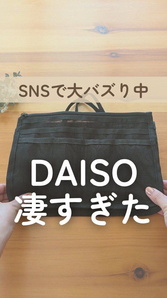 【ダイソー】SNSでバズりまくってる！話題のバッグインバッグ