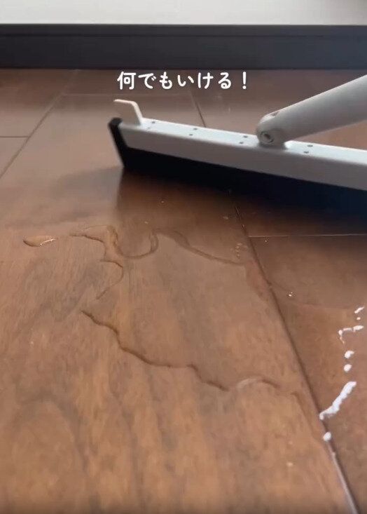 【セリア】髪の毛やホコリはもちろん水分もいける