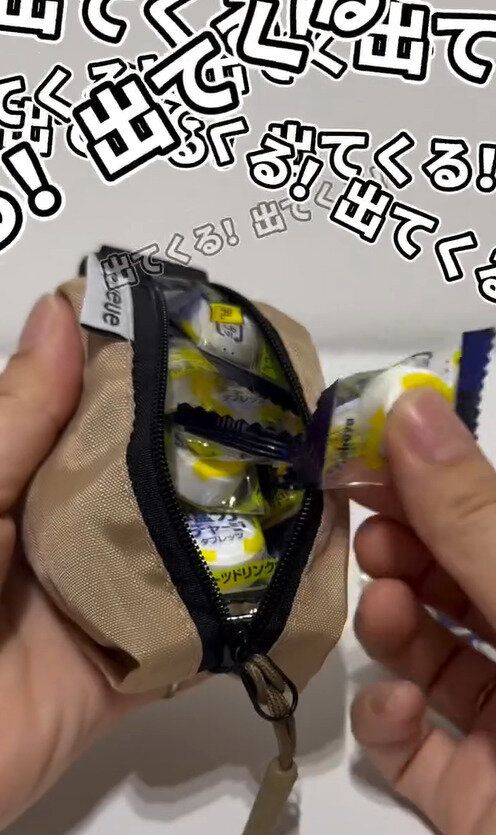 めちゃくちゃコンパクトサイズなのに!「スリムポーチ」