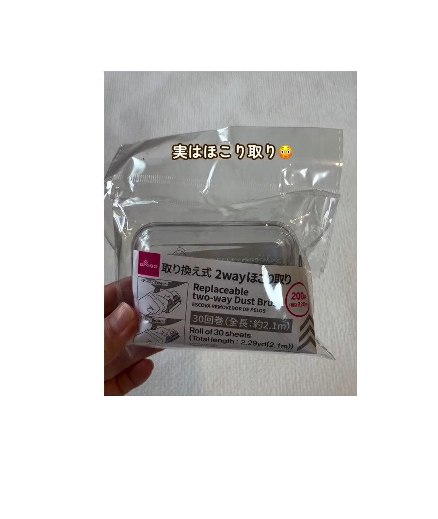 【ダイソー】これからの季節にオススメな2WAYほこり取り