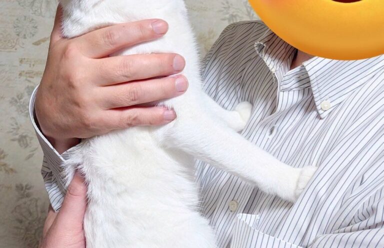 「オジサン」の抱っこを全力で拒否するにゃんこが話題に!!ジト目で前足を突っ張る姿に「正直ですなwww」と13万いいね