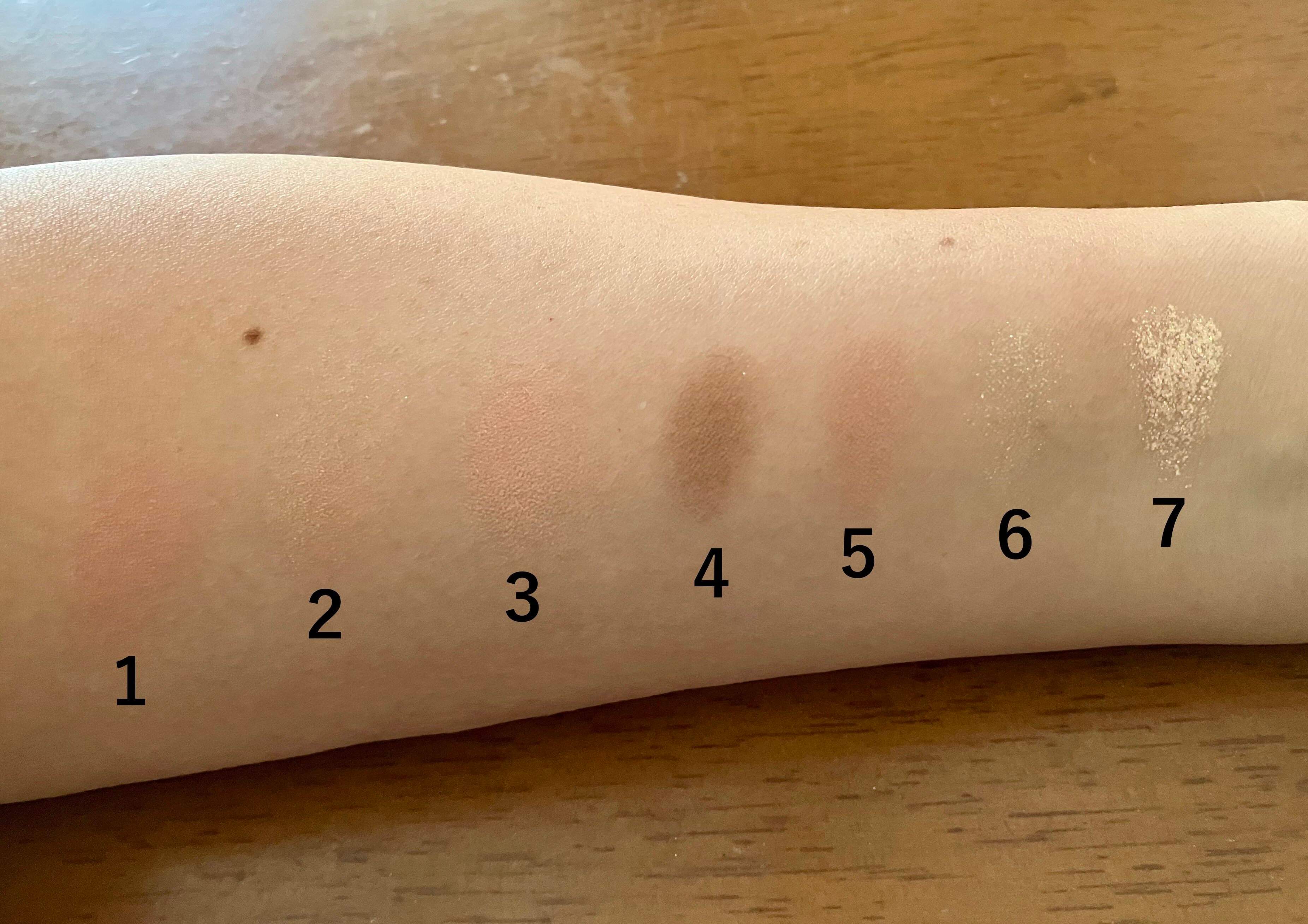 腕でパレットの色見本