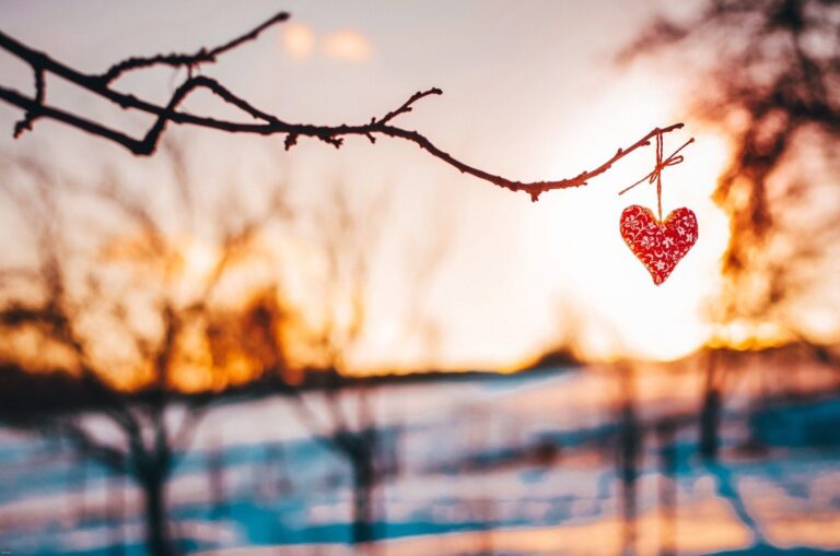 1月は金運だらけ！2026年カレンダーに書いて運を取りこぼさない！【Dr.コパの風水解説】