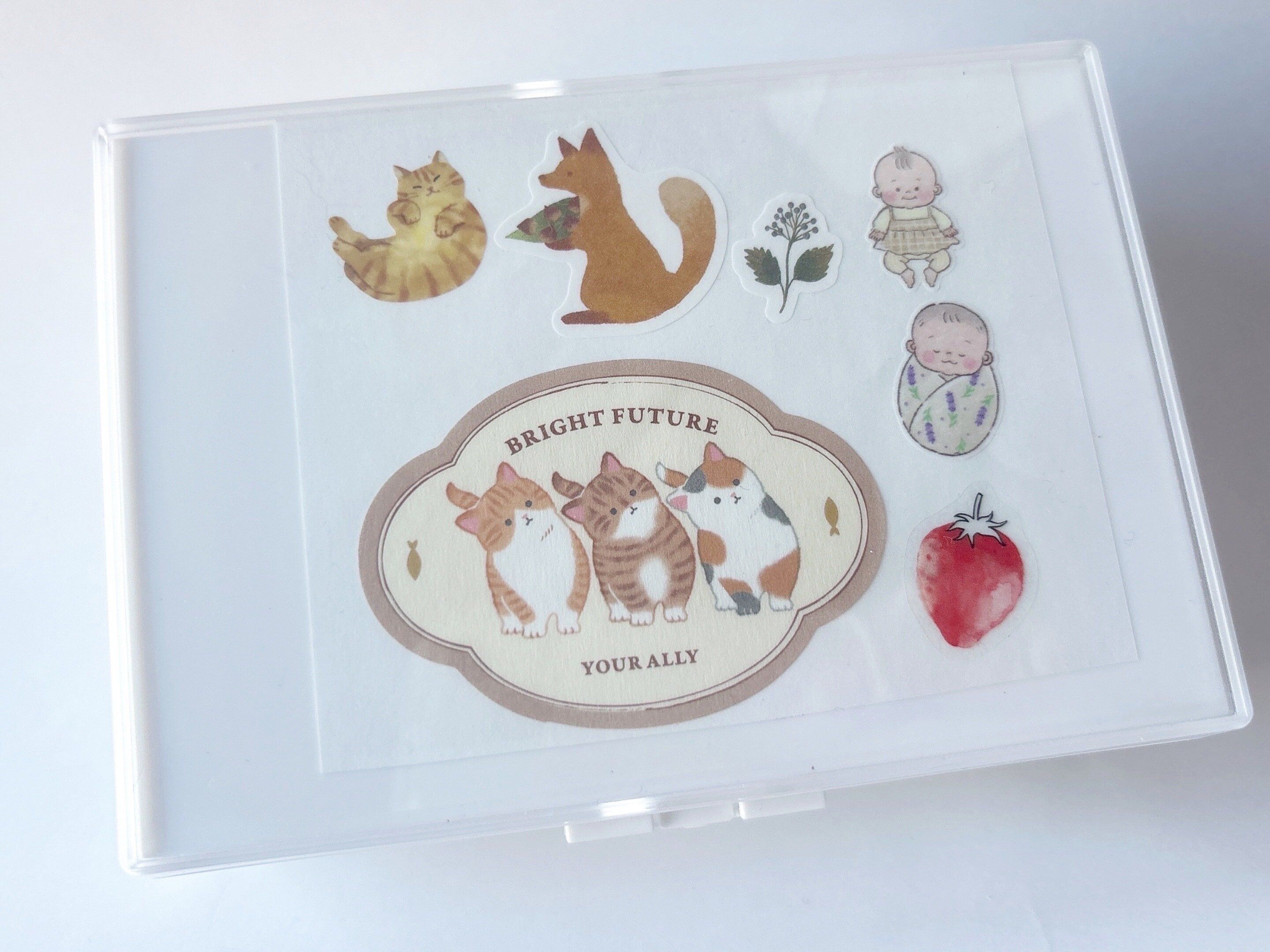 セリアディスプレイもできる収納ケースフォト