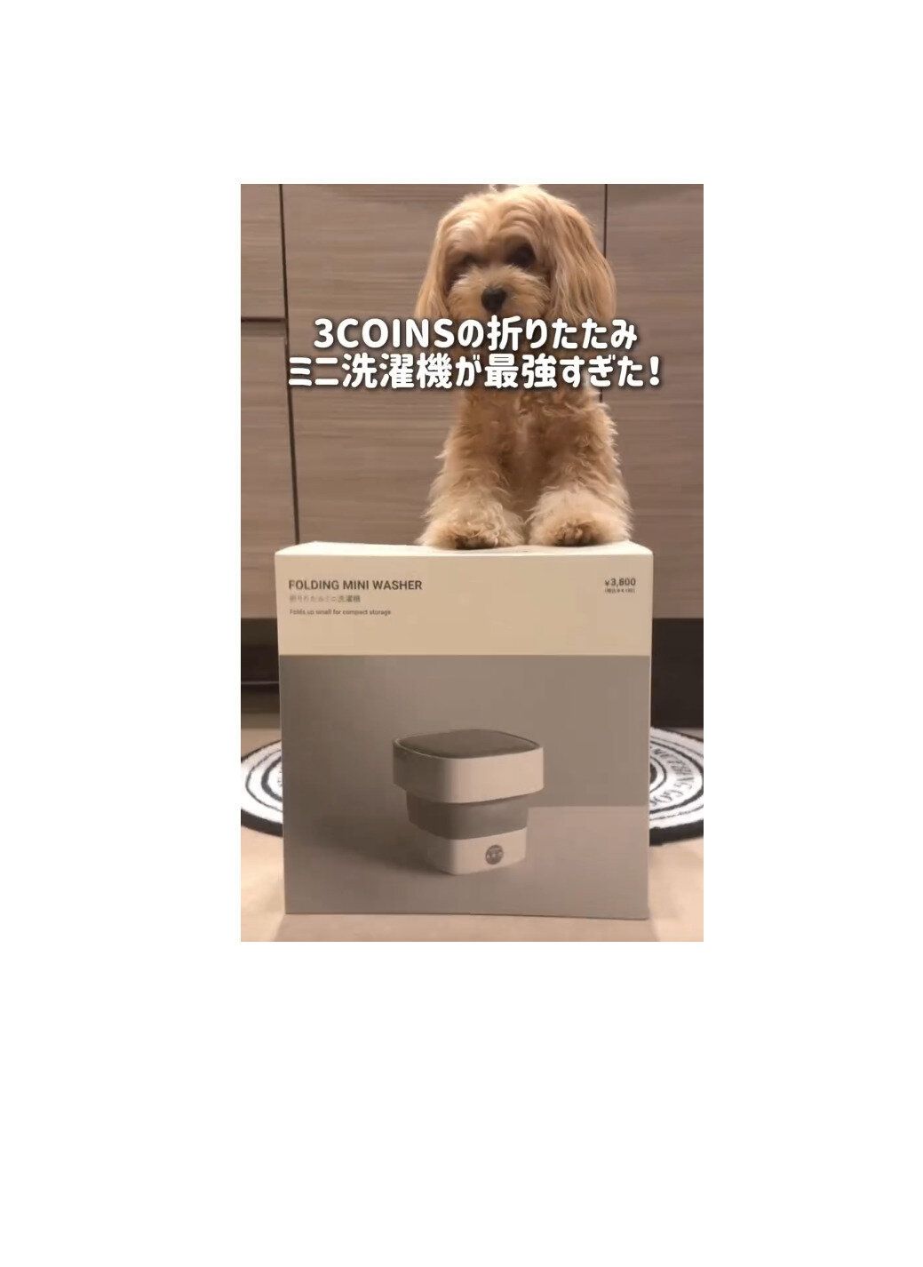 【3COINS】買い確定!折りたたみミニ洗濯機が最強すぎた