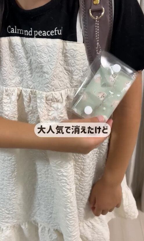 SNSでもバズってる!「ミニポケットティッシュケース」