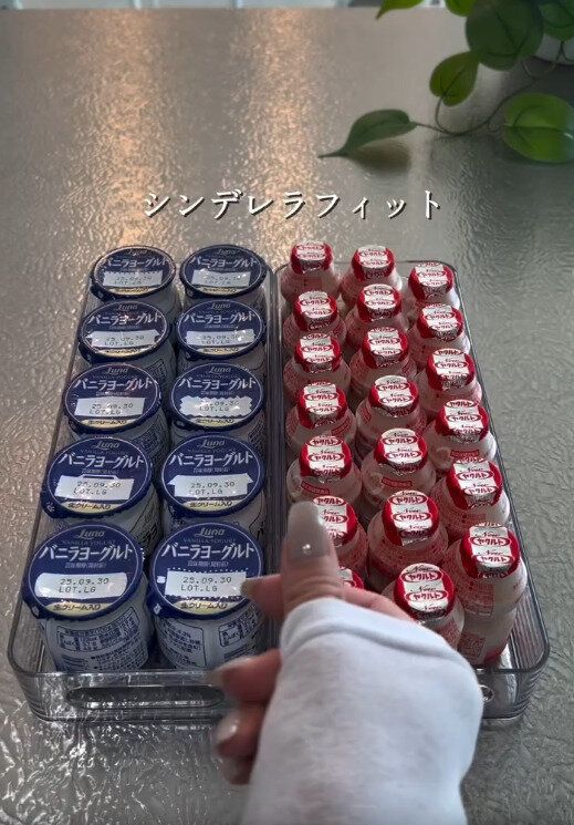 【ニトリ】毎日食べる食品がシンデレラフィット