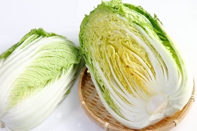 白菜