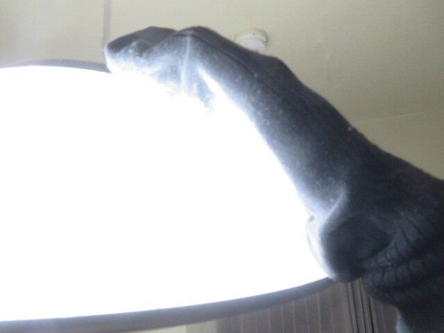 手にはめてなでればほこりが取れる