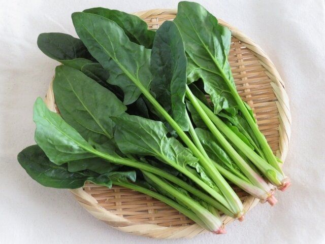 じつは避けたほうがいいかも!?野菜のプロが教える「ほうれん草」のもったいない食べかた