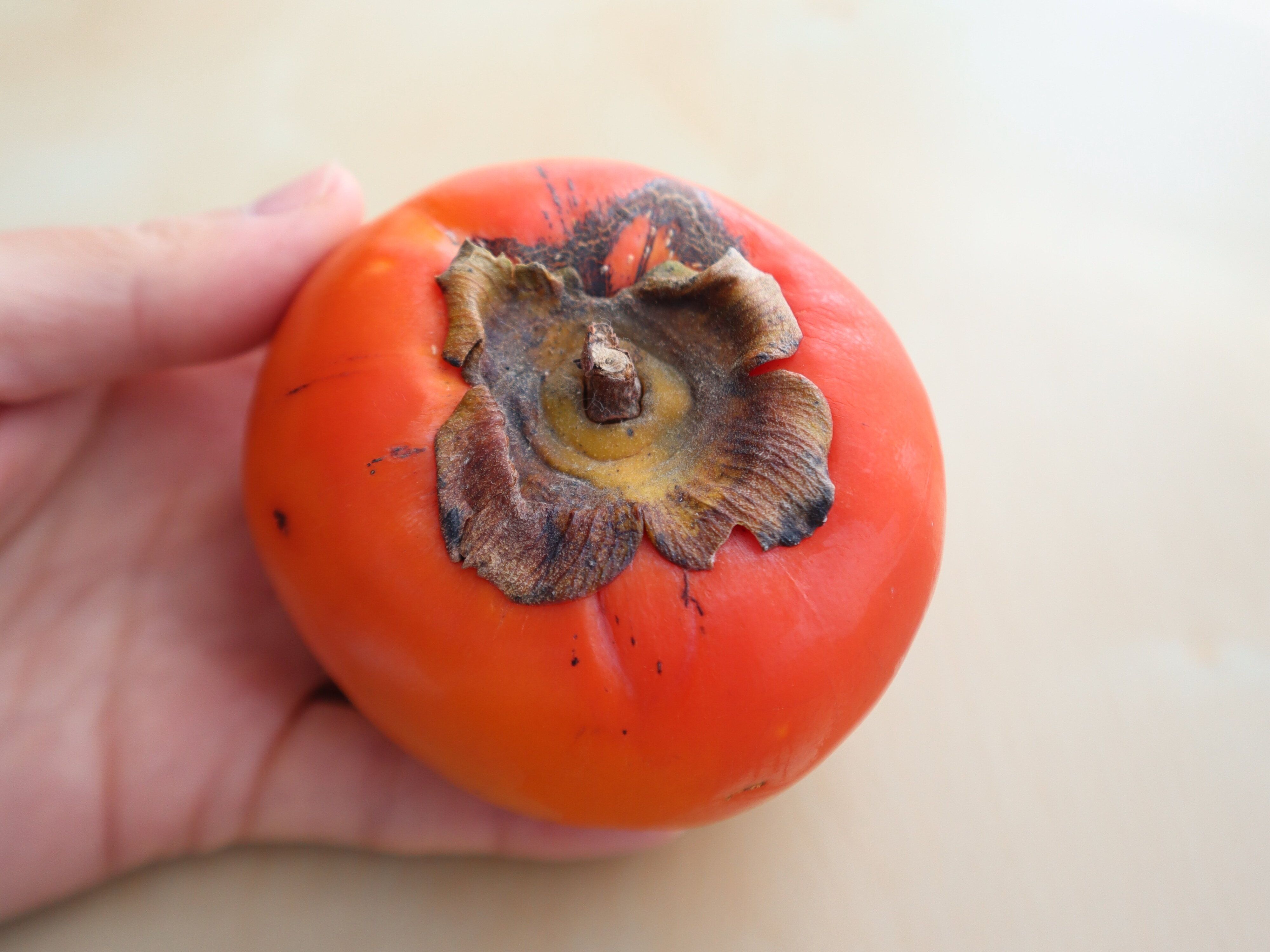 熟しすぎた柿ありませんか？