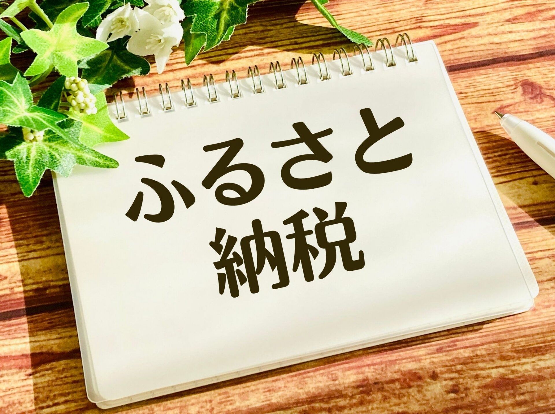 今年初挑戦のふるさと納税で感動!返礼品のサーモンがレベル高すぎた