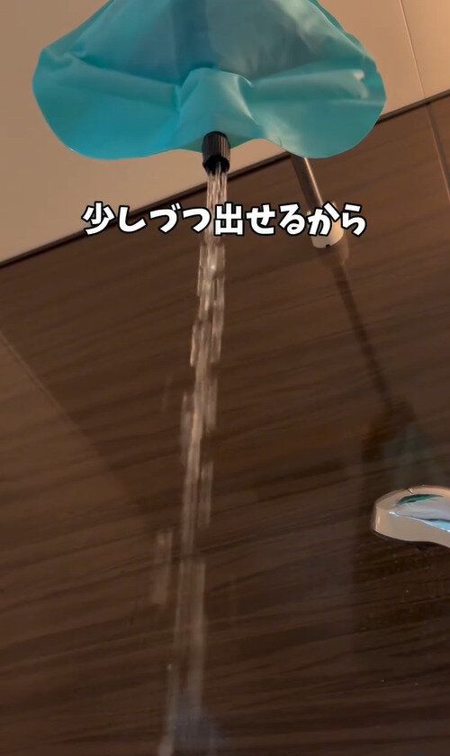 ダイソーにもあった！「ウォッシュバッグ」