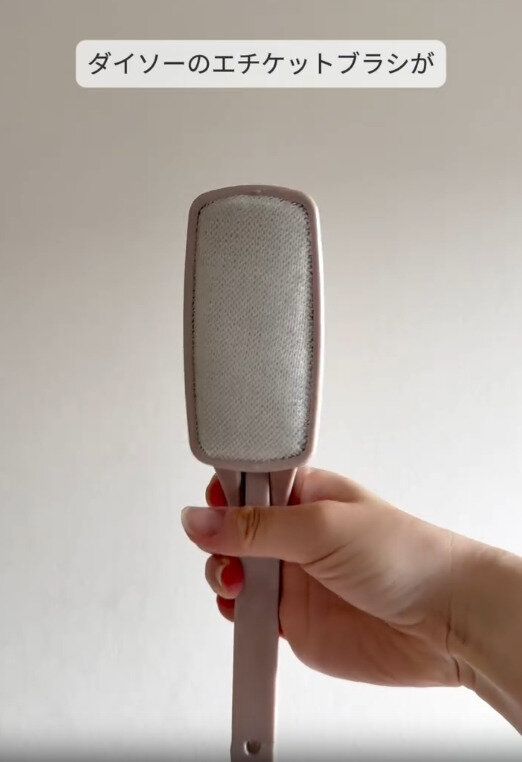 【ダイソー】大人気!ダイソーのエチケットブラシ
