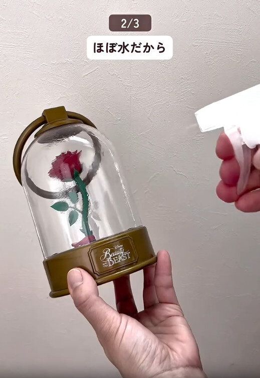 【ダイソー】ほぼ水だから安全で安心