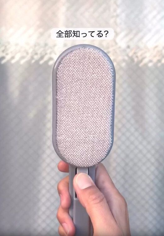 【ダイソー】大バズり中のエチケットブラシ