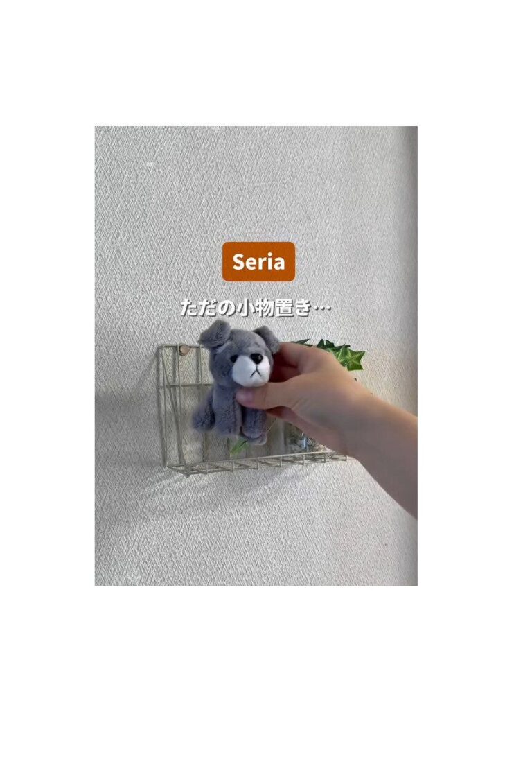 アイデア光る！【セリア】「ただの小物置きじゃもったいない」「家事の時短にもつながる」便利グッズ3選