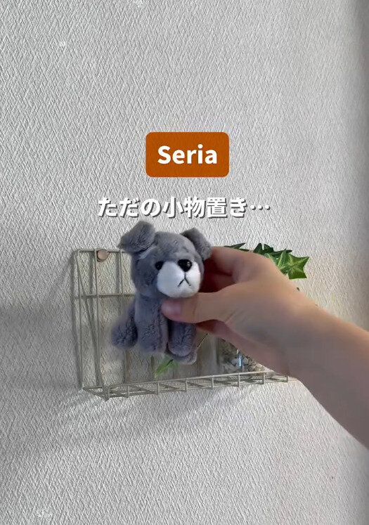 【セリア】ただの小物置きじゃもったいない!ワイヤーシェルフ活用術