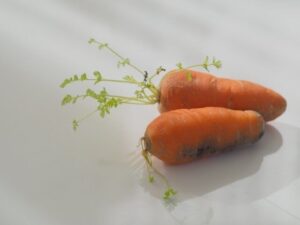 捨てる罪悪感から解放！食品保存アドバイザーが教える買い物回数が減る「使い切り野菜術」