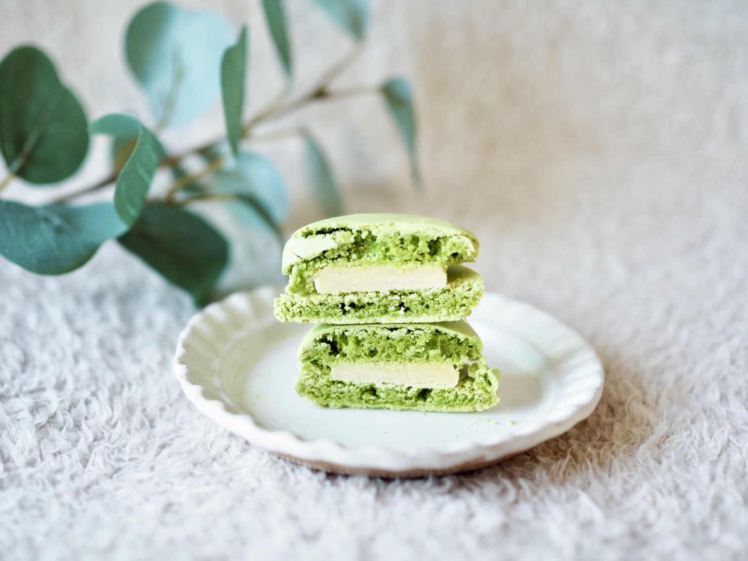 シャトレーゼ「マカロン　ピスタチオ」　