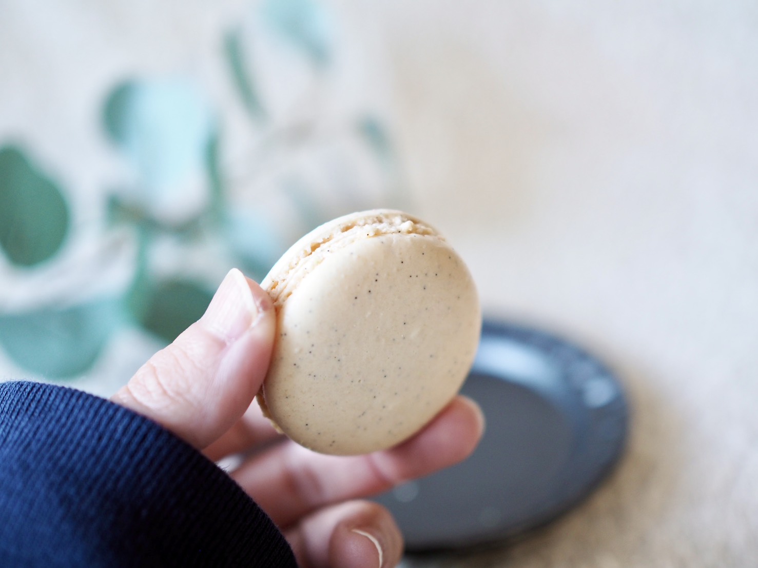 シャトレーゼ「マカロン」商品写真