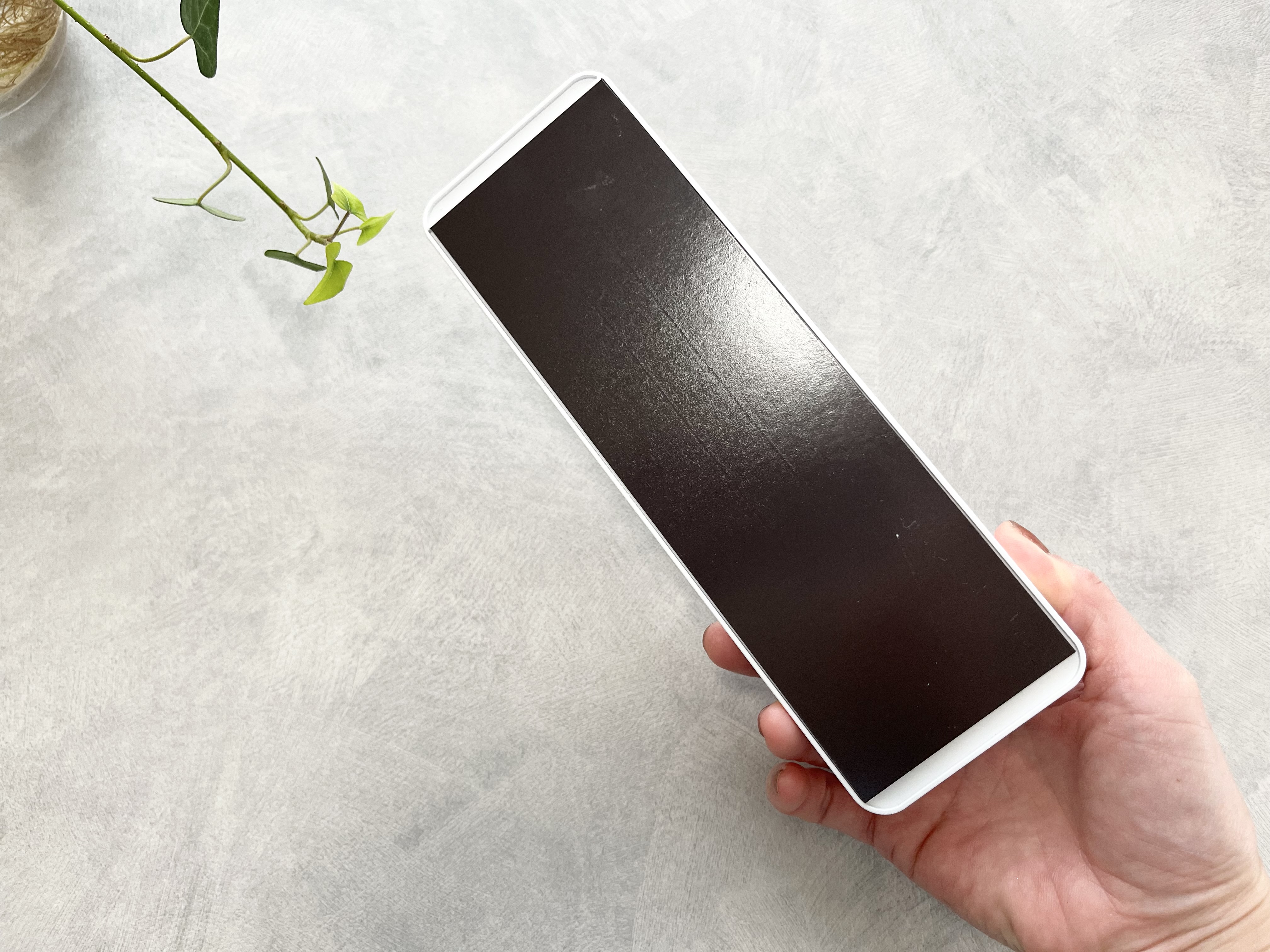 ダイソーの「シャワーホルダー」の裏側の画像