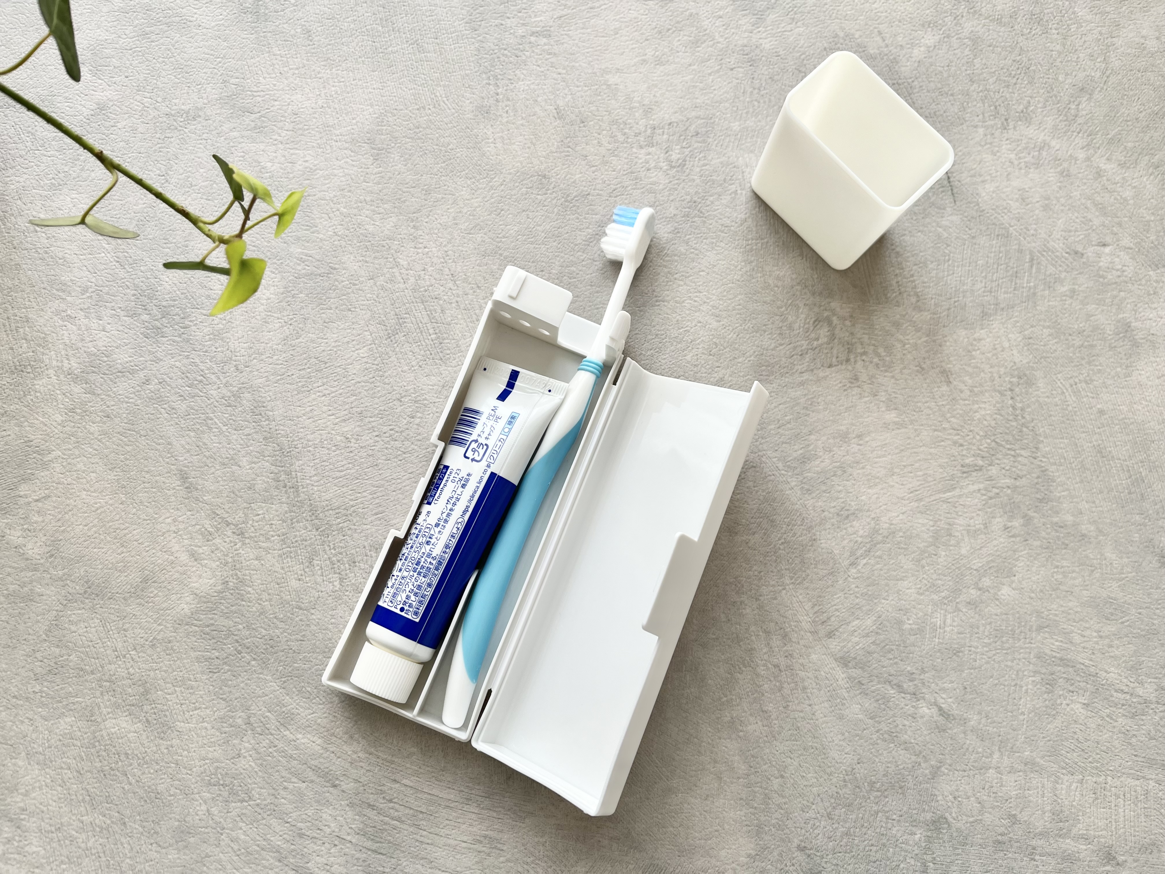 セリアの「コップ付き歯ブラシケース」の使用画像