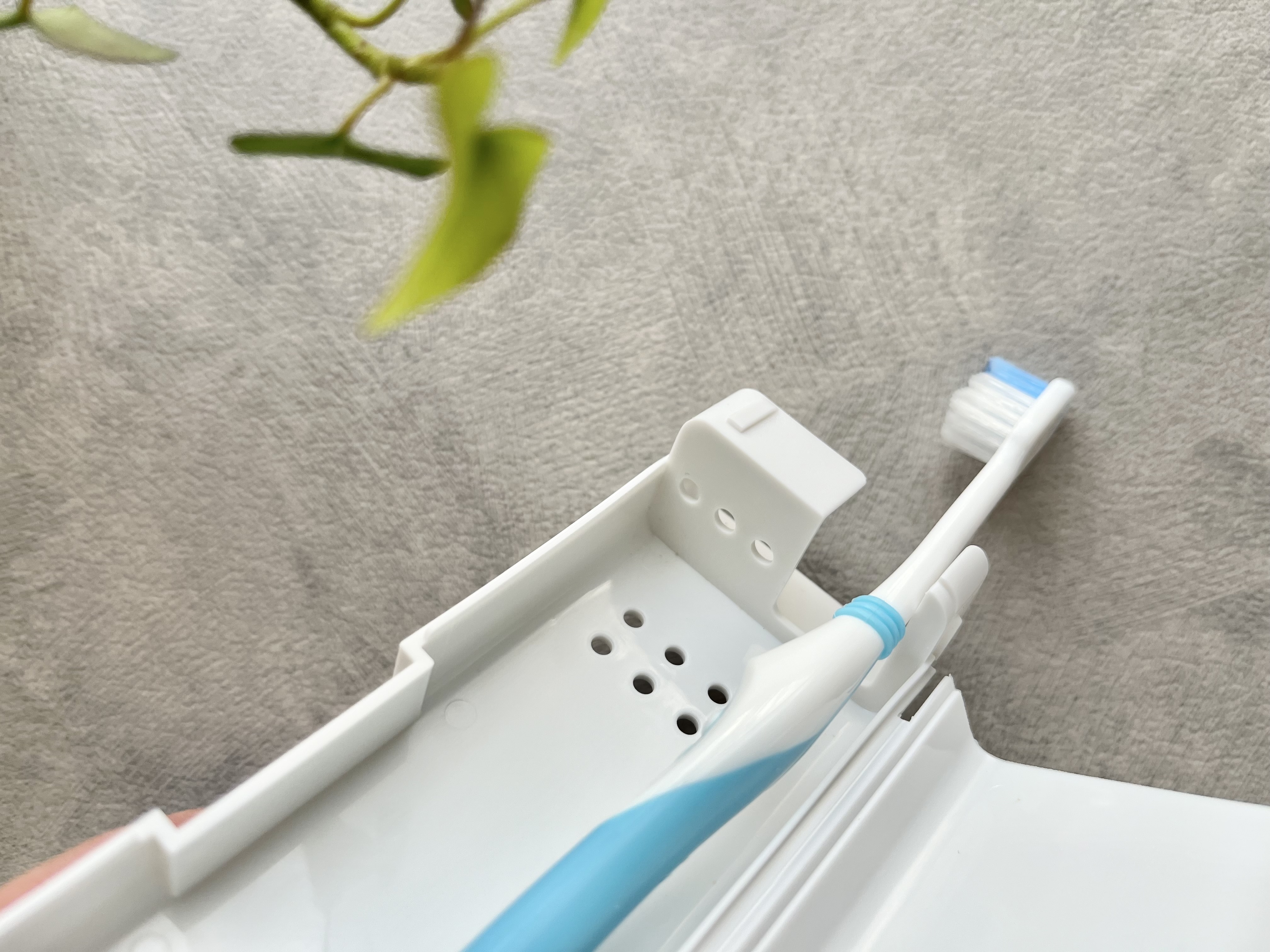 セリア「コップ付き 立つ歯ブラシケース」の使用画像