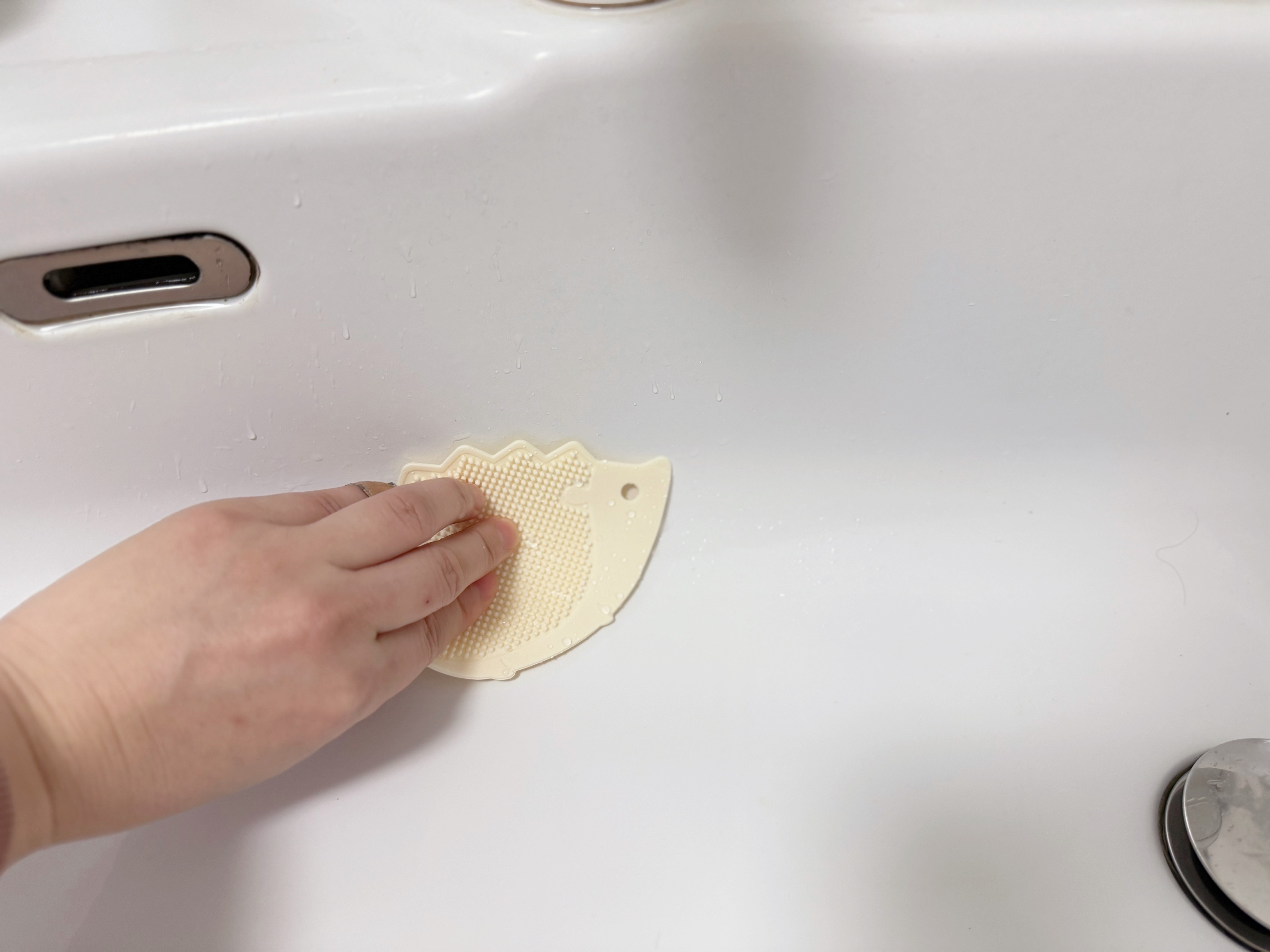 1．キッチンブラシ（ハリネズミ）