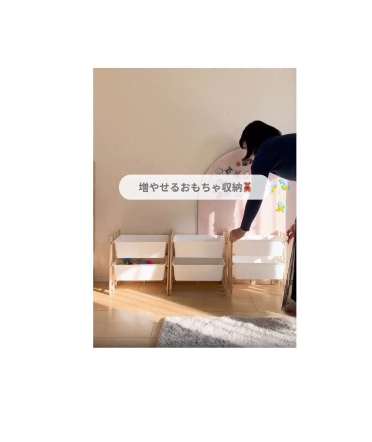 ダイソー商品だけでできる！【ダイソー】「3分でつくれた」「220円はコスパ良すぎ」収納アイデア3選