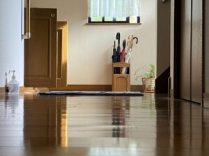 置きがちだけどNG！狭い玄関には置かない方がいいモノ3つ