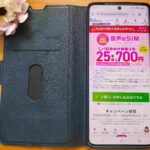知らないなんてもったいない！IIJmioのeSIMでラクラク節約実現！