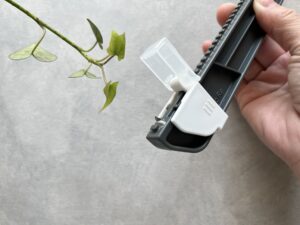 「手軽にサイズ調整可能！」「考えた人、天才！」荷物の発送時のプチストレスを解消できるセリアの便利グッズ