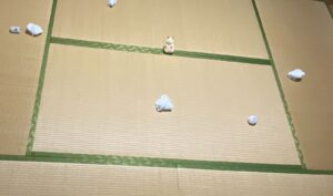 ジャンガリアンハムスターを飼育していた部屋で開催された「本物のハムスターを探せ！」に多くの挑戦者集まる