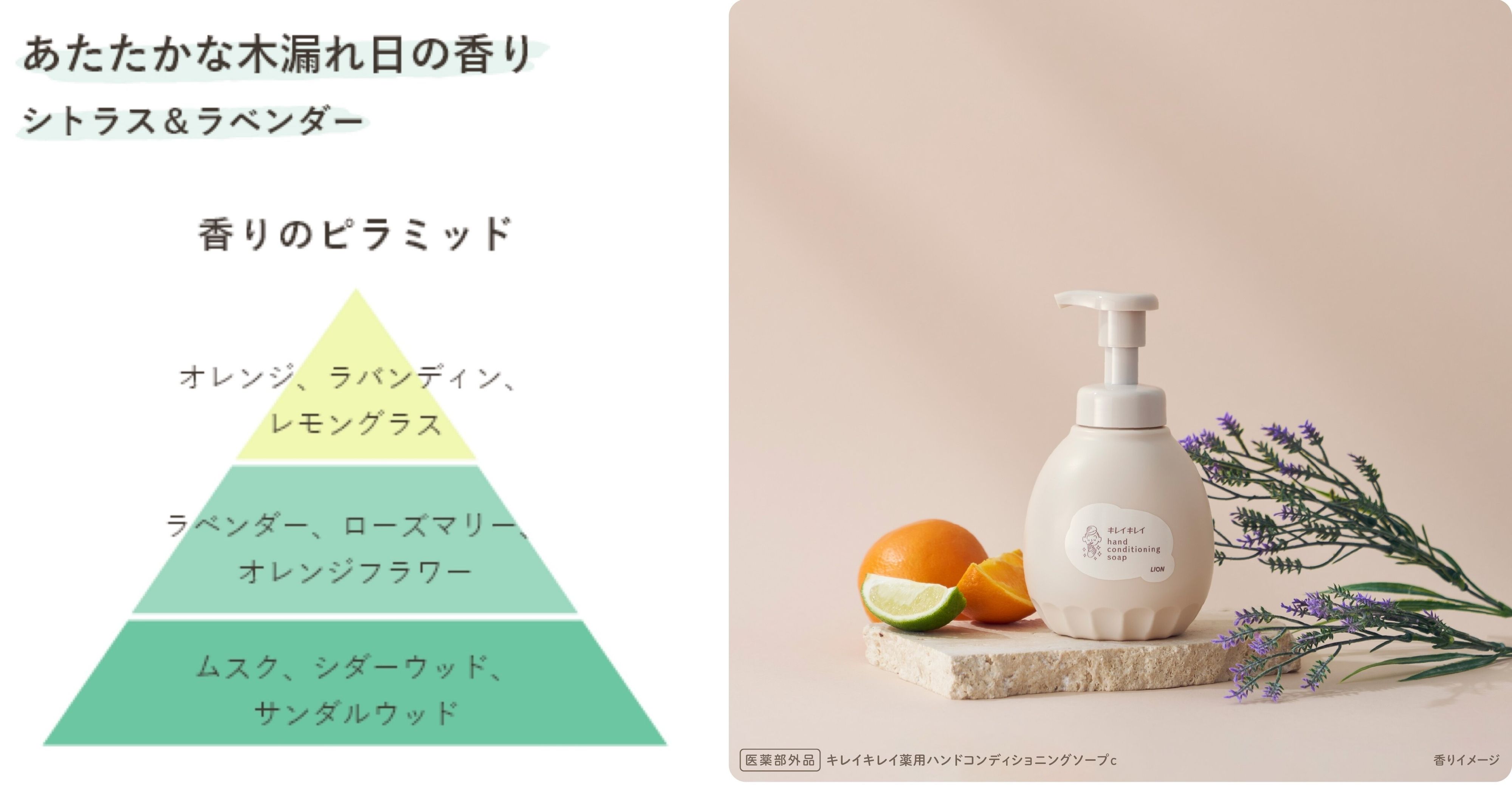 あたたかな木漏れ日の香り　香りピラミッド