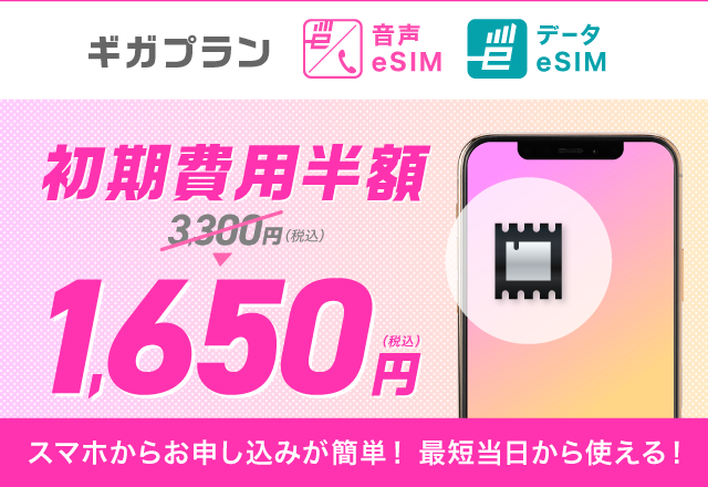 初期費用半額キャンペーン