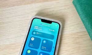 スマホ代の節約＆もしもの対策を良いとこどり！「デュアルSIM」って実はコスパがいい！？