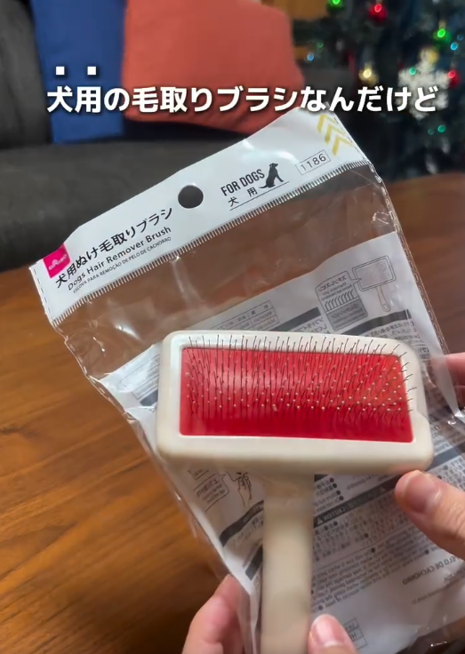 犬用の毛取りブラシで冬服が復活