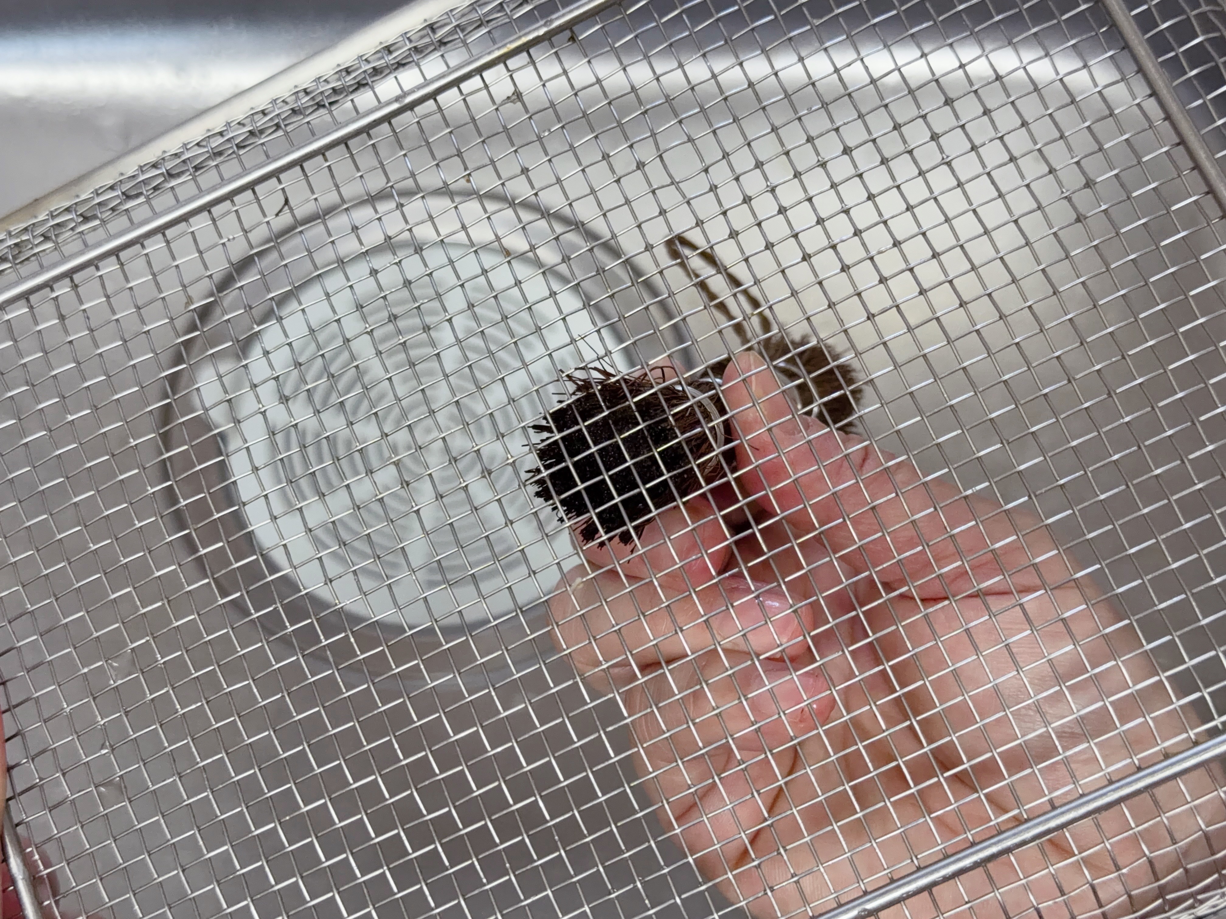 細かい網目のある小物洗いに便利