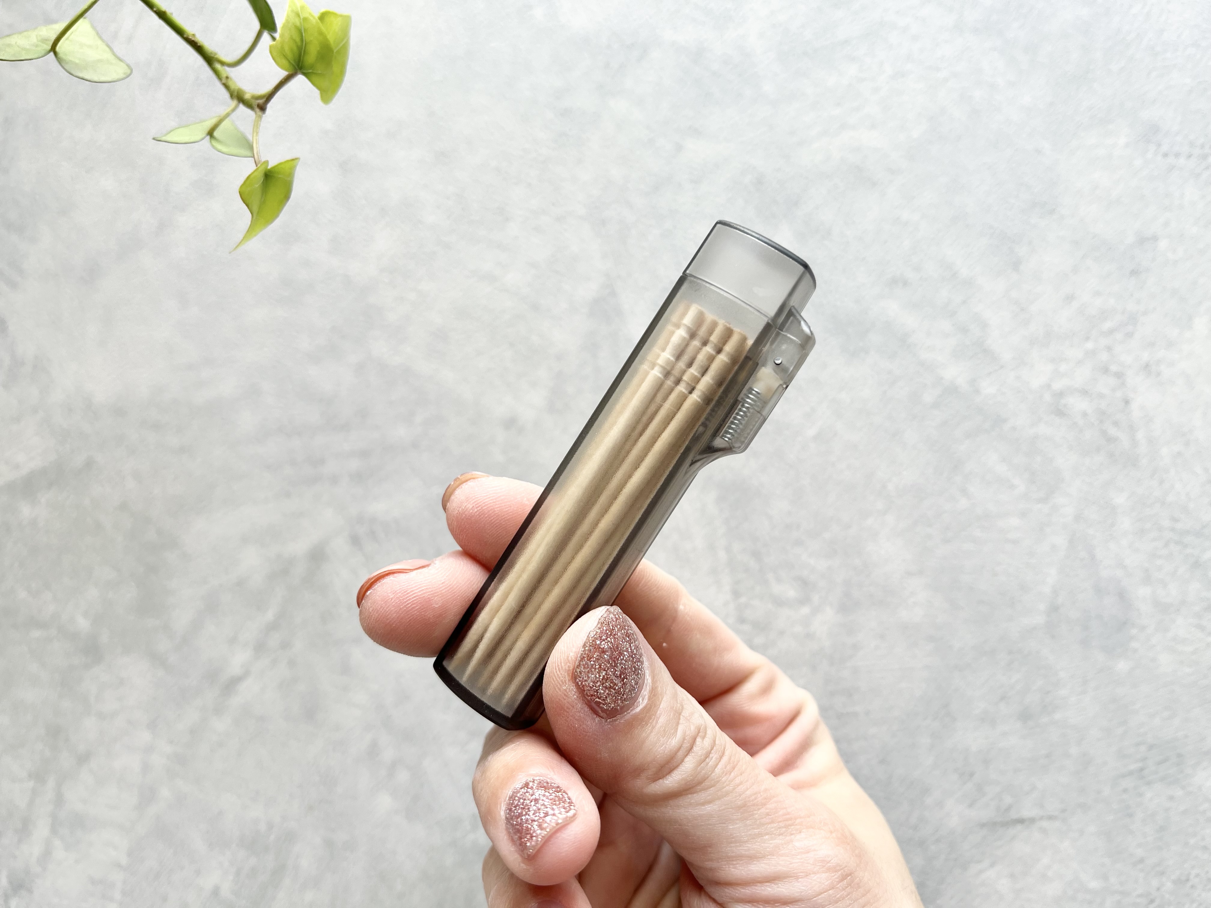セリアの「携帯用爪楊枝ホルダー」の使用画像