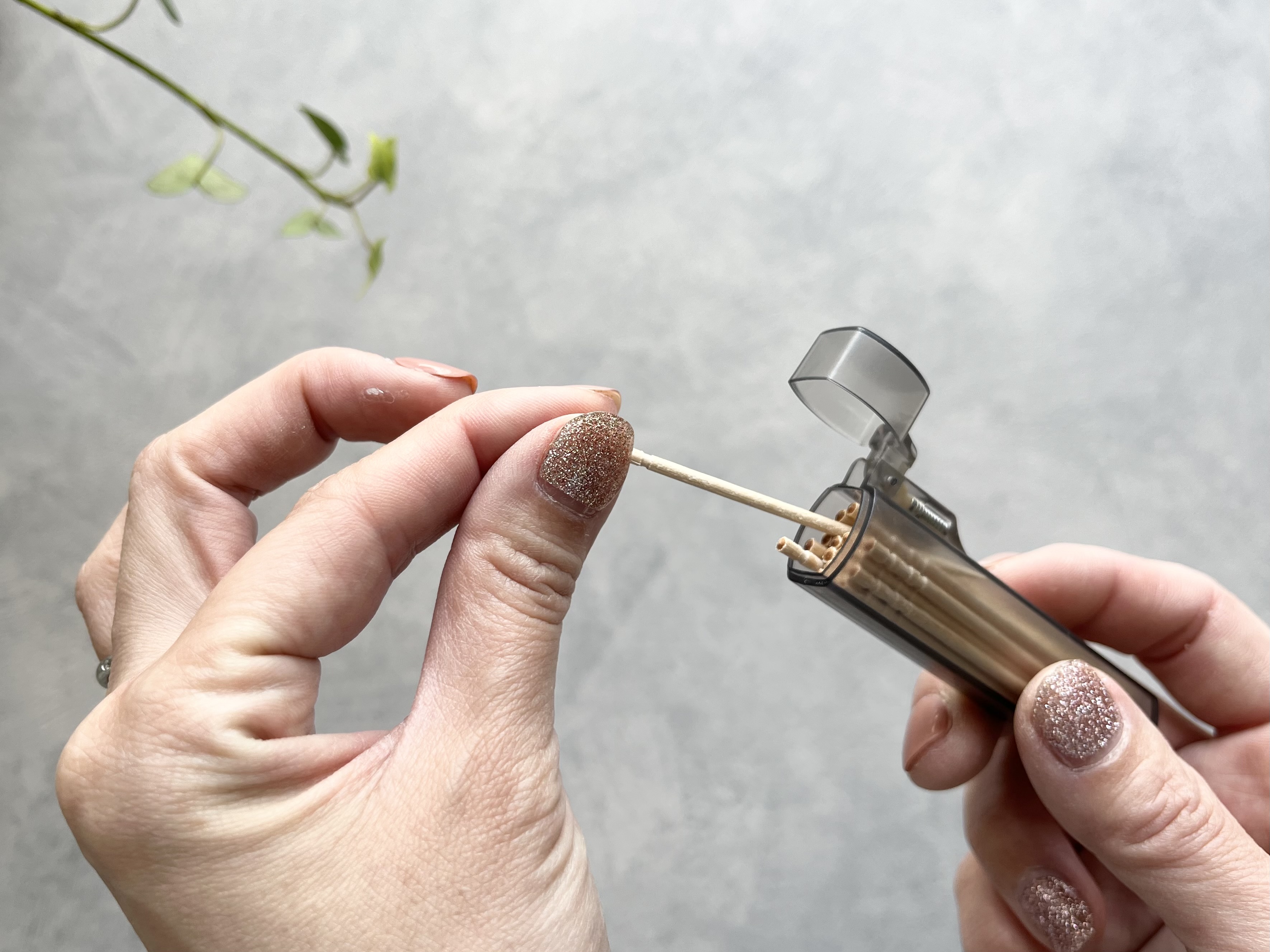 セリアの「携帯用爪楊枝ホルダー」の使用画像