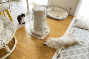 犬と猫の暖まり方の違い！ストーブを前に、それぞれのスタイルで暖まる2匹に1.1万件のいいね