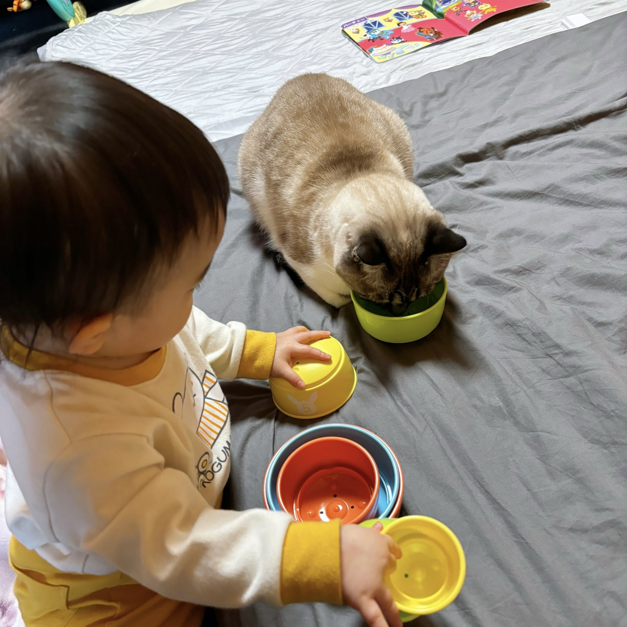 娘さんとこめくん