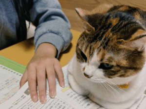 テスト勉強をする娘とそれを見守る愛猫。まるで家庭教師のような姿に「かわいい応援団長」の声