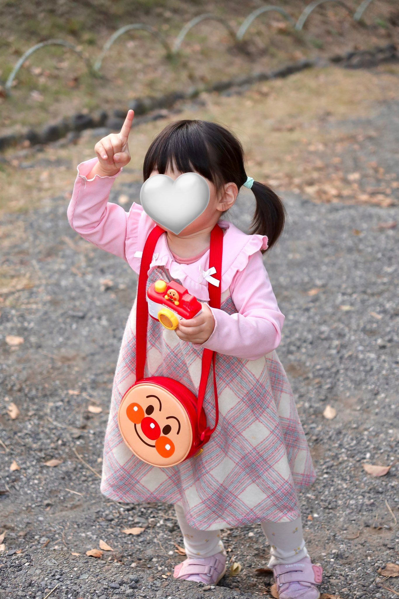 手を挙げて写真を撮る娘