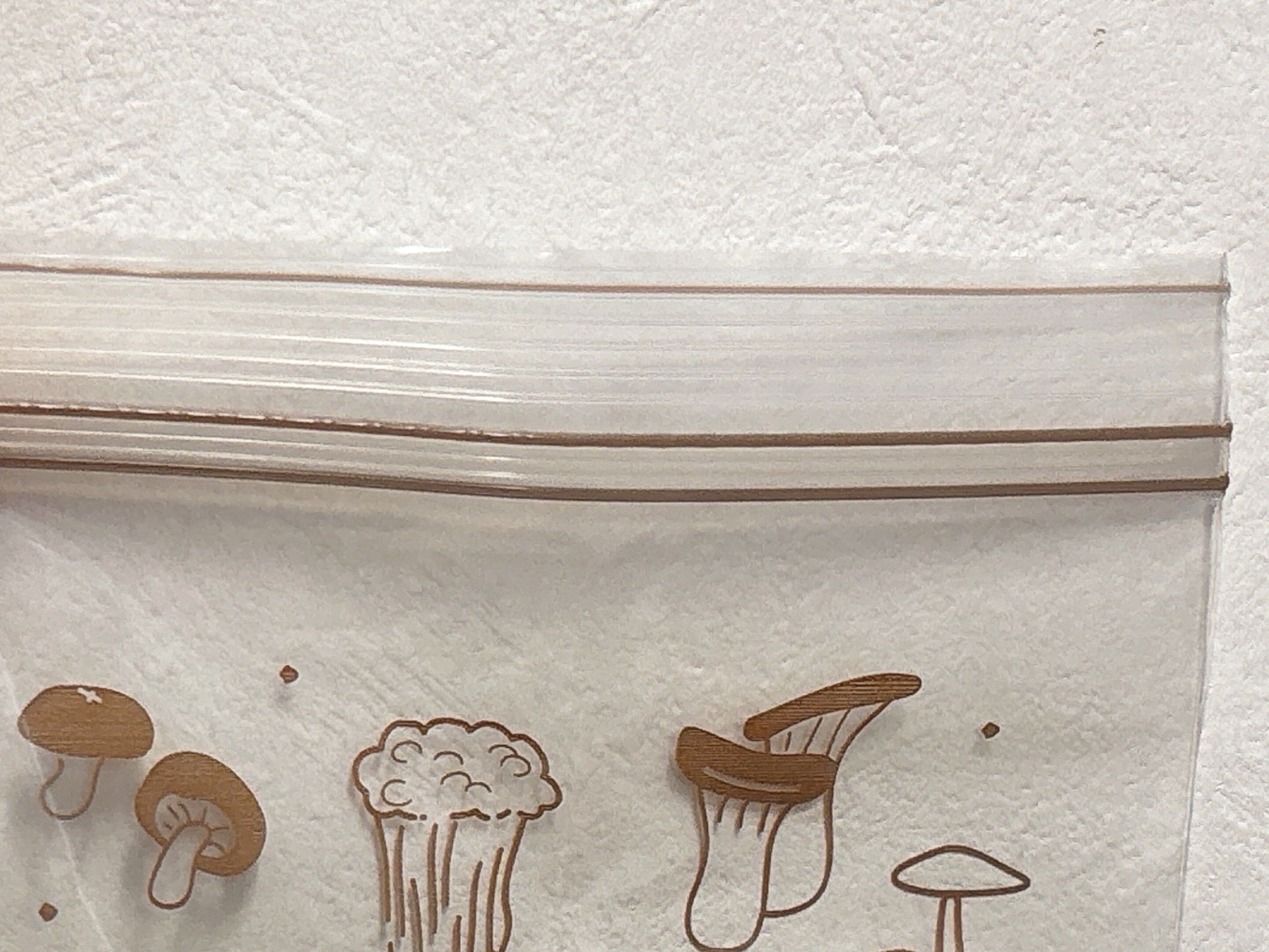 ダイソーフリーザーバッグ