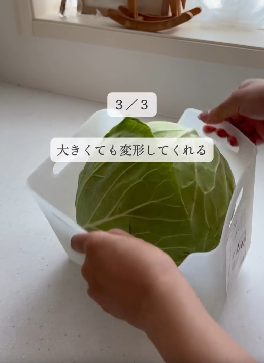 2万人が保存した野菜室収納便利グッズ